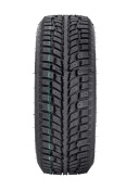 winter_extrema_evo_2